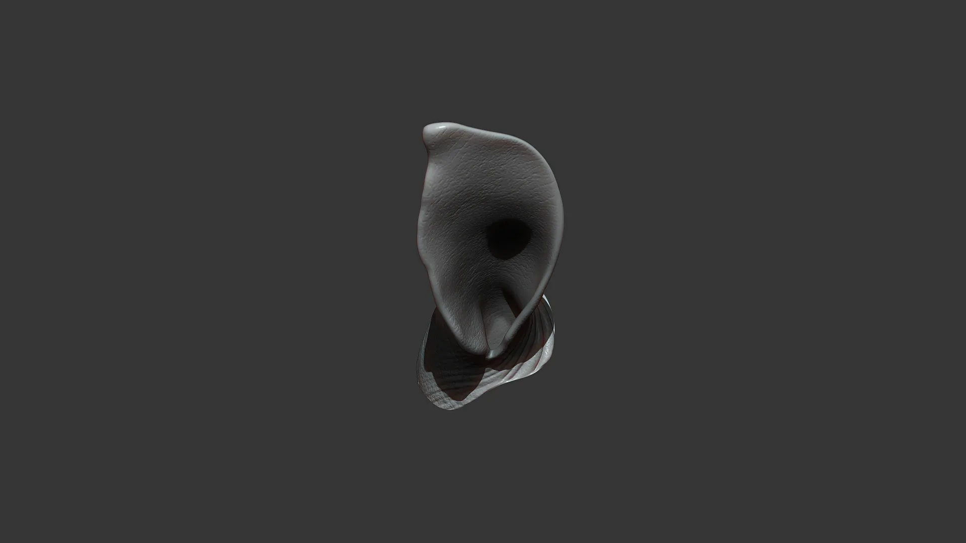 Rhino Baby Ear Highpoly Sculpt