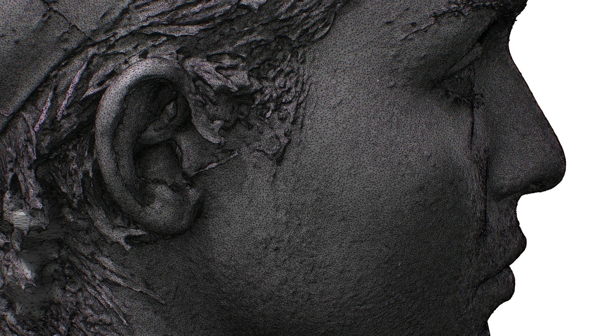 Raw Head Scan | 3D Model Chloe Parker