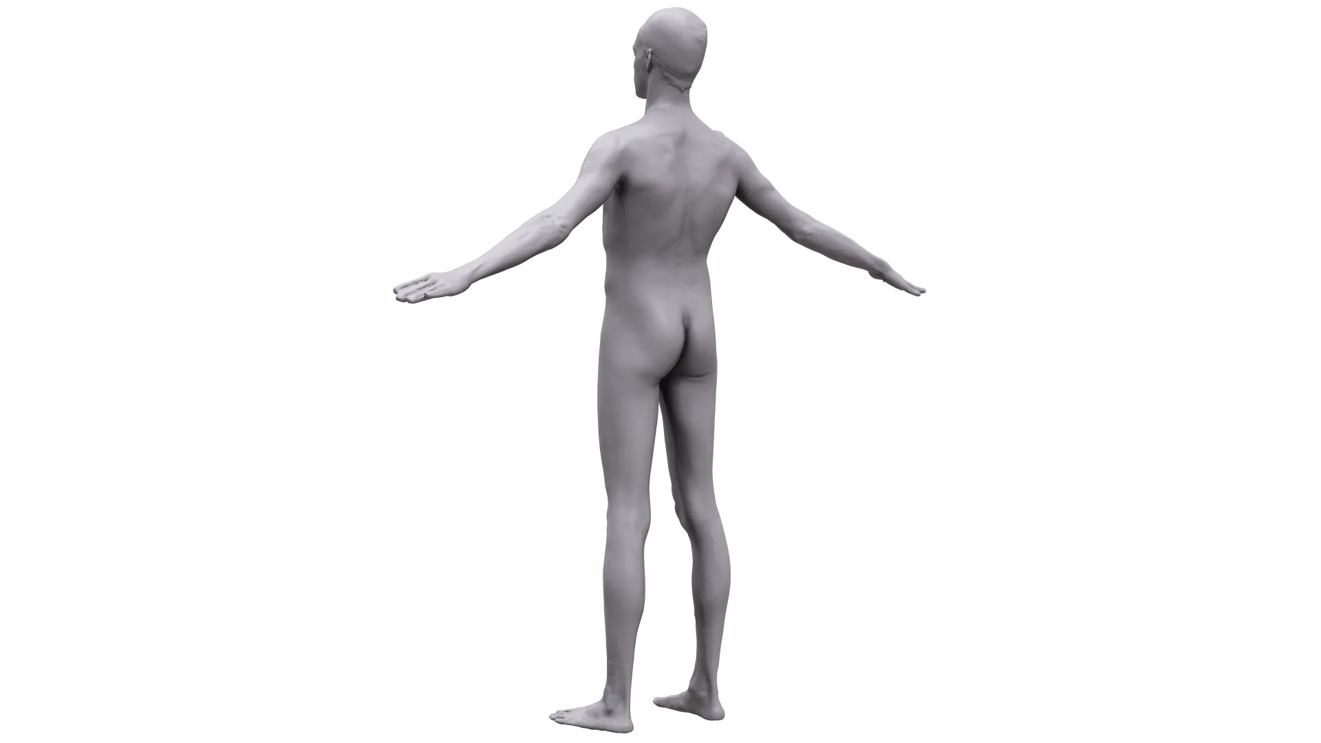 Base Body Scan | 3D Model Peter