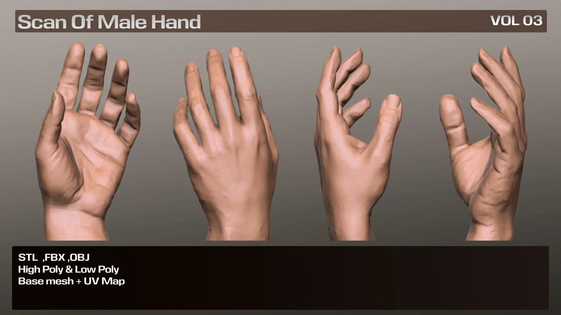 3D Scan Real Male Hand VOL 03