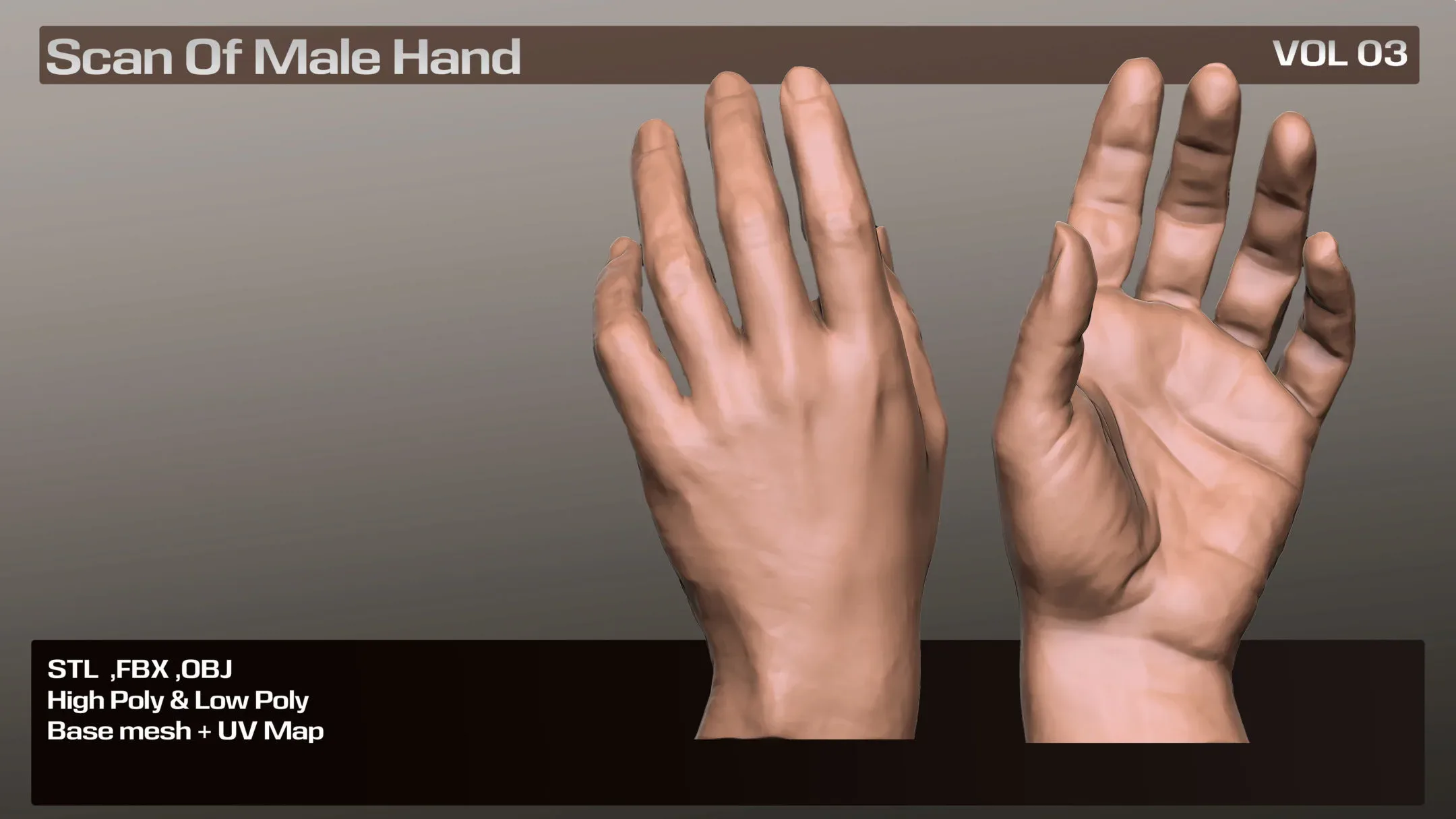 3D Scan Real Male Hand VOL 03