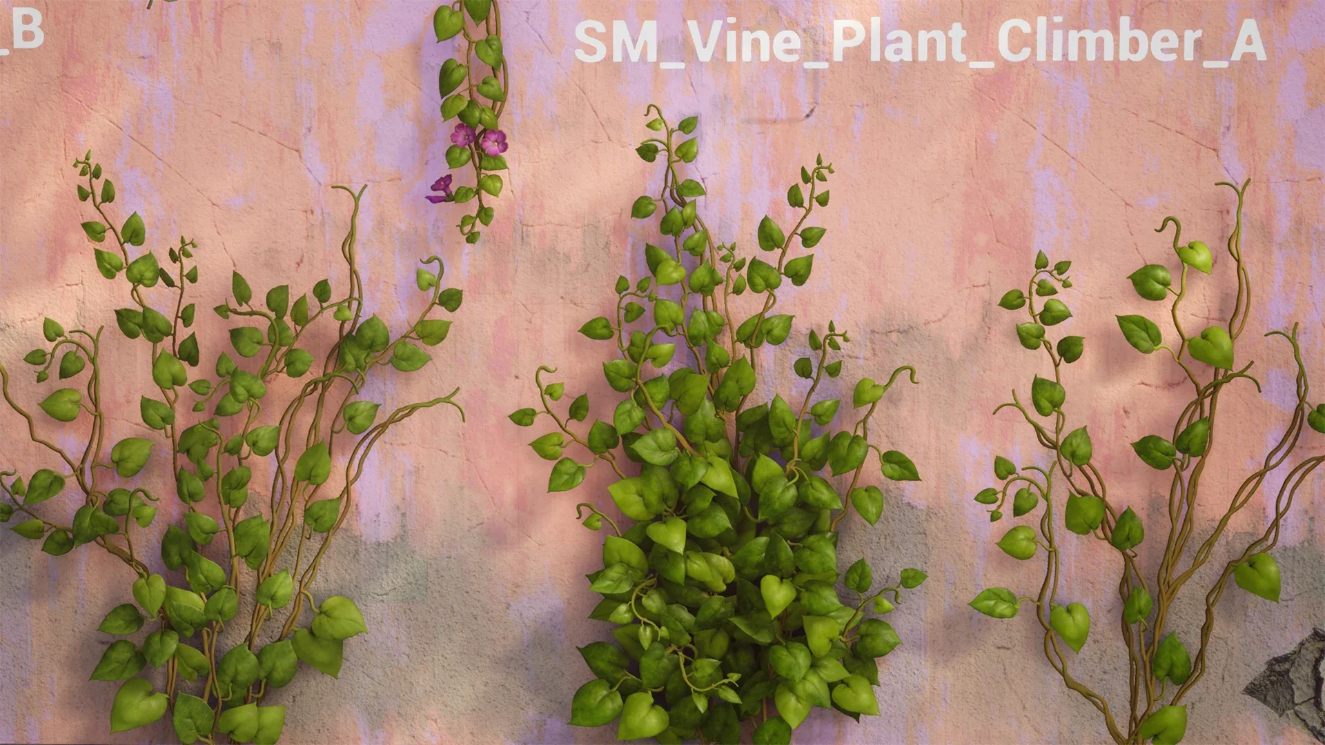 Vine Plants Pack