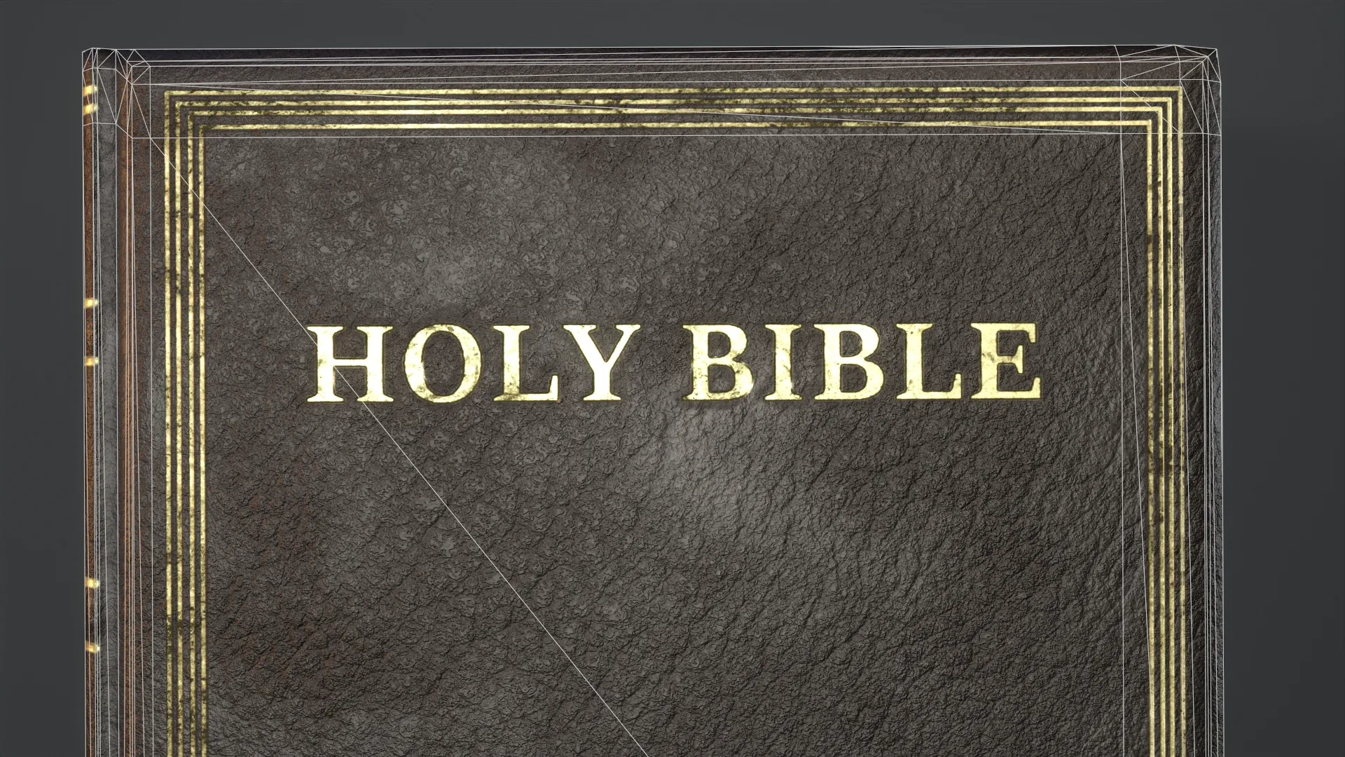 Holy Bible