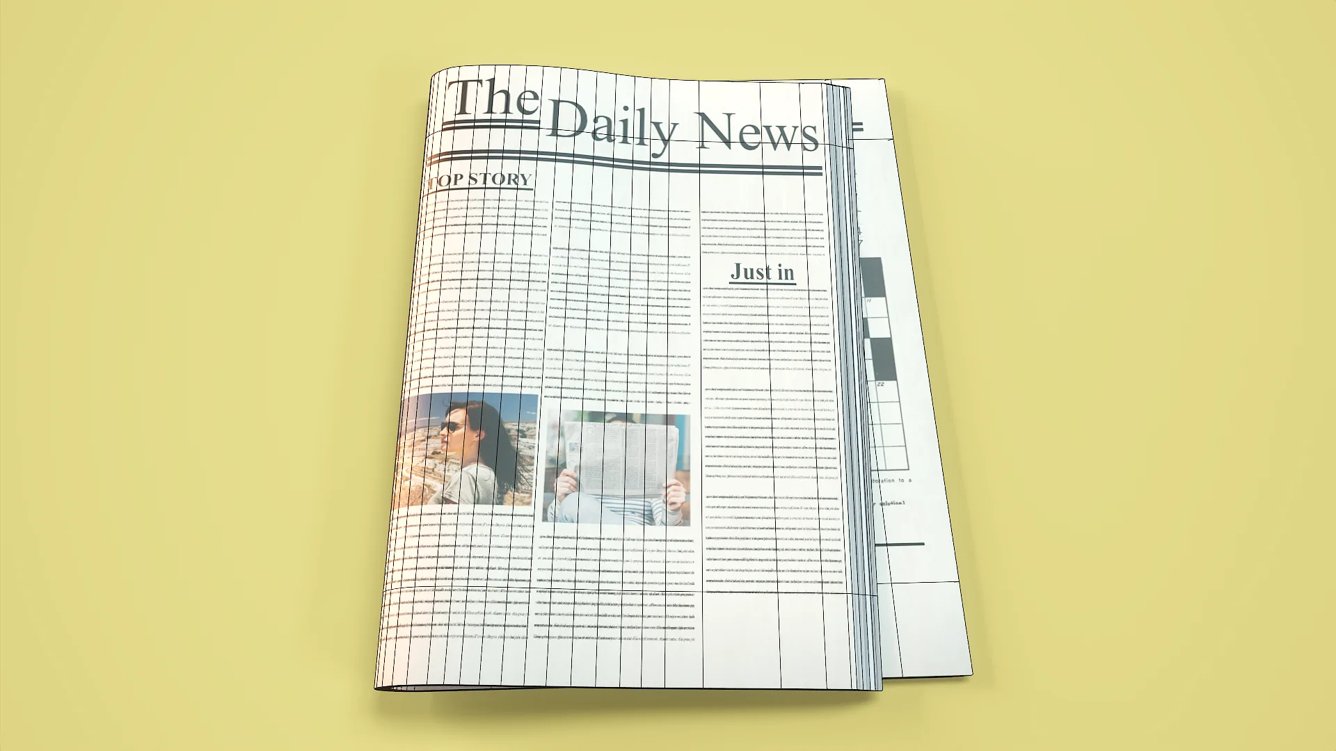 Newspaper