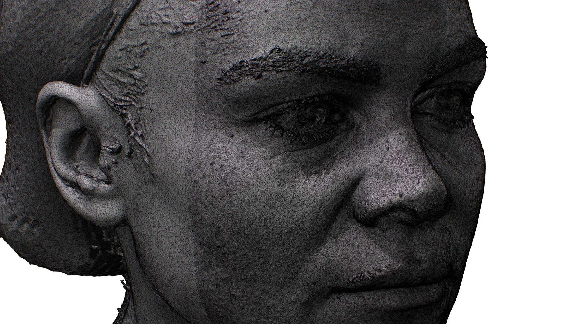 Raw Head | 3D Model Raenia Freeman