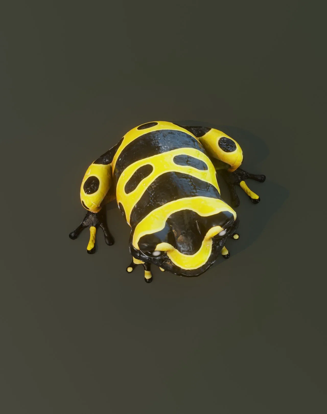 Cartoon Yellow-banded Frog Animated 3D Model