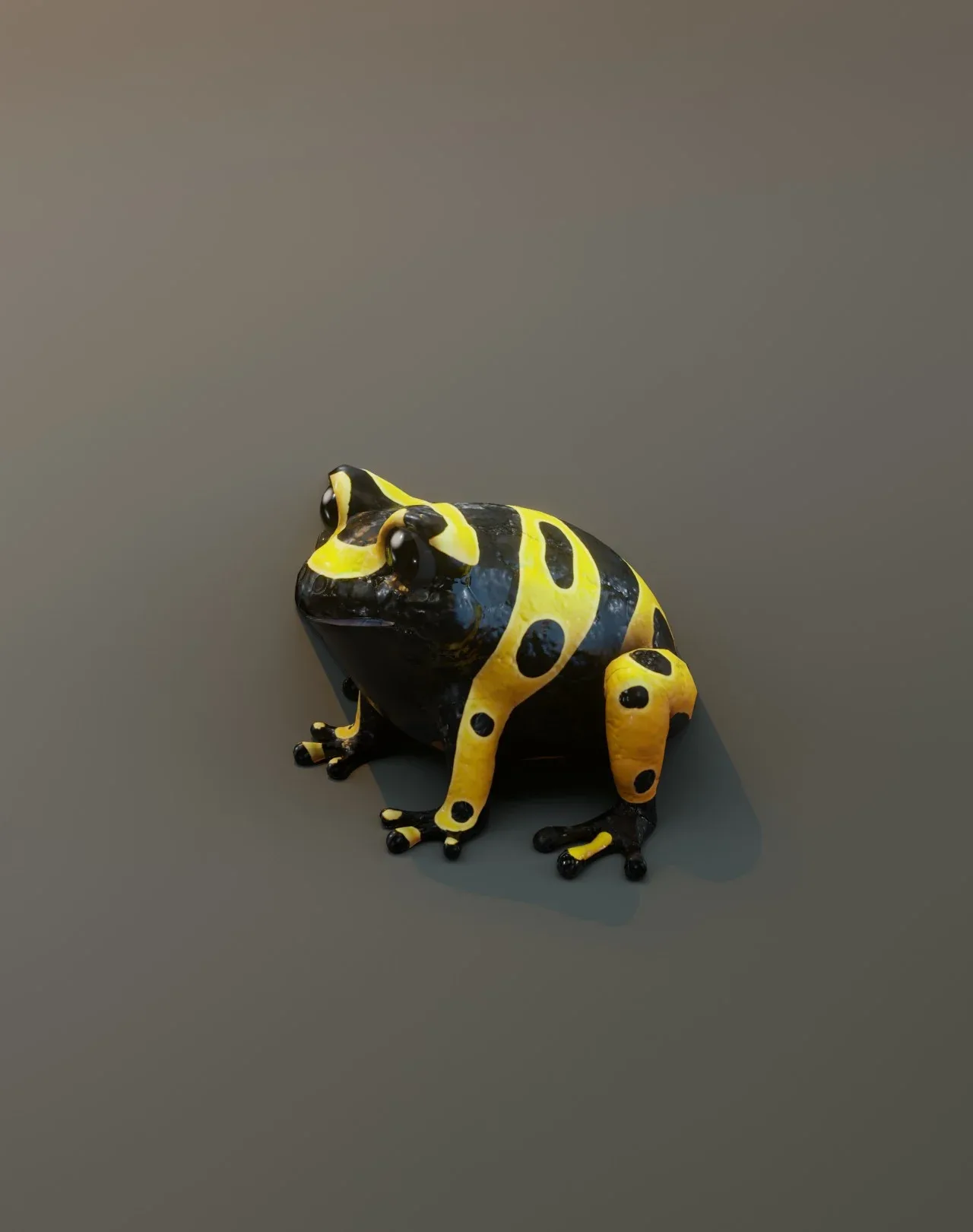 Cartoon Yellow-banded Frog Animated 3D Model