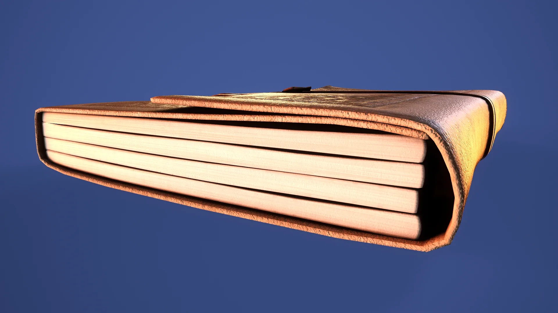 Leather Bound Book