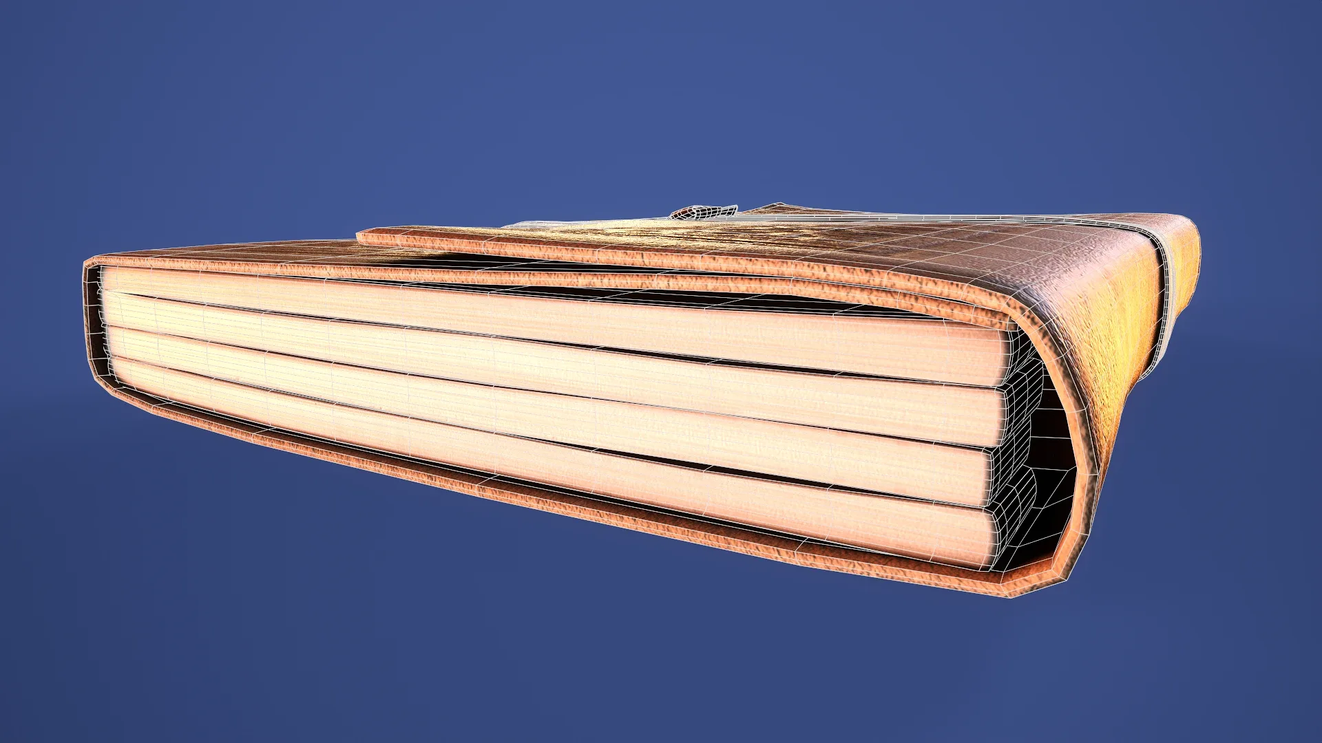 Leather Bound Book