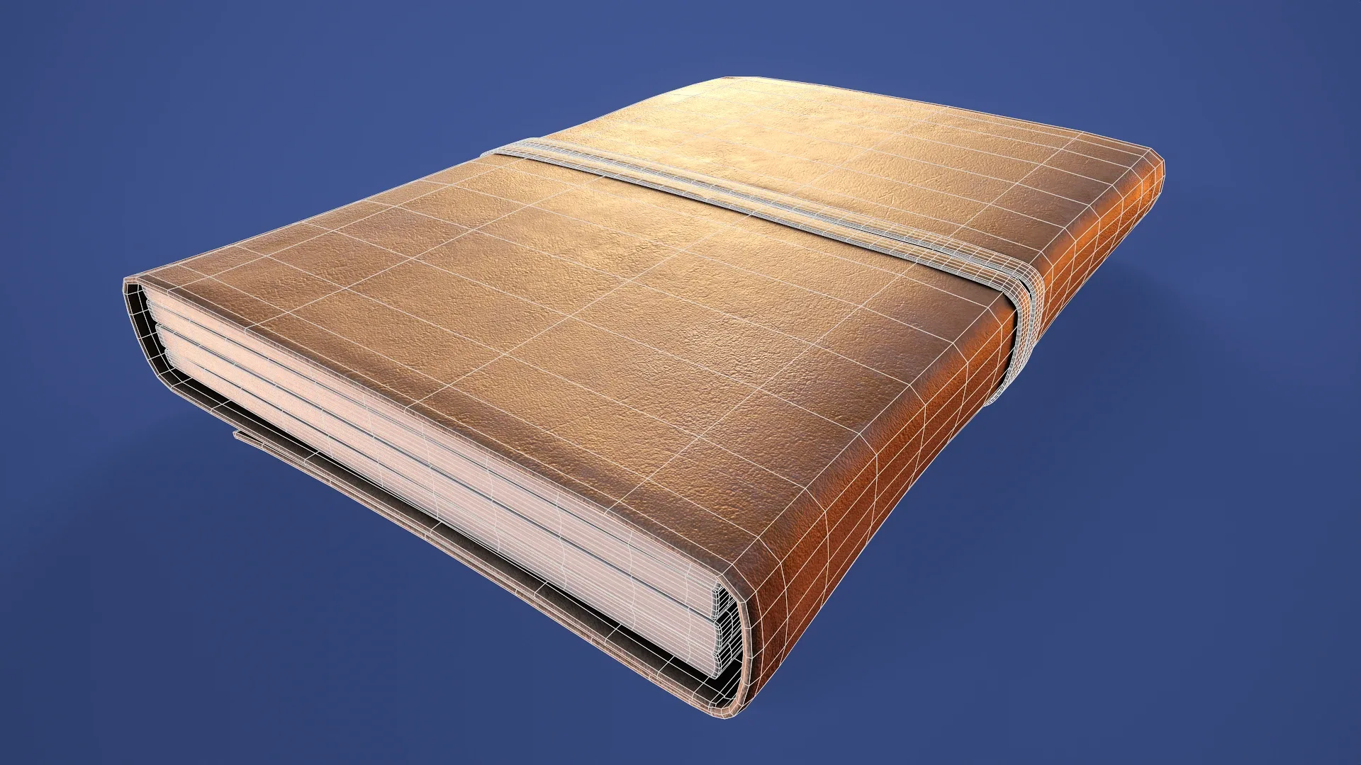 Leather Bound Book