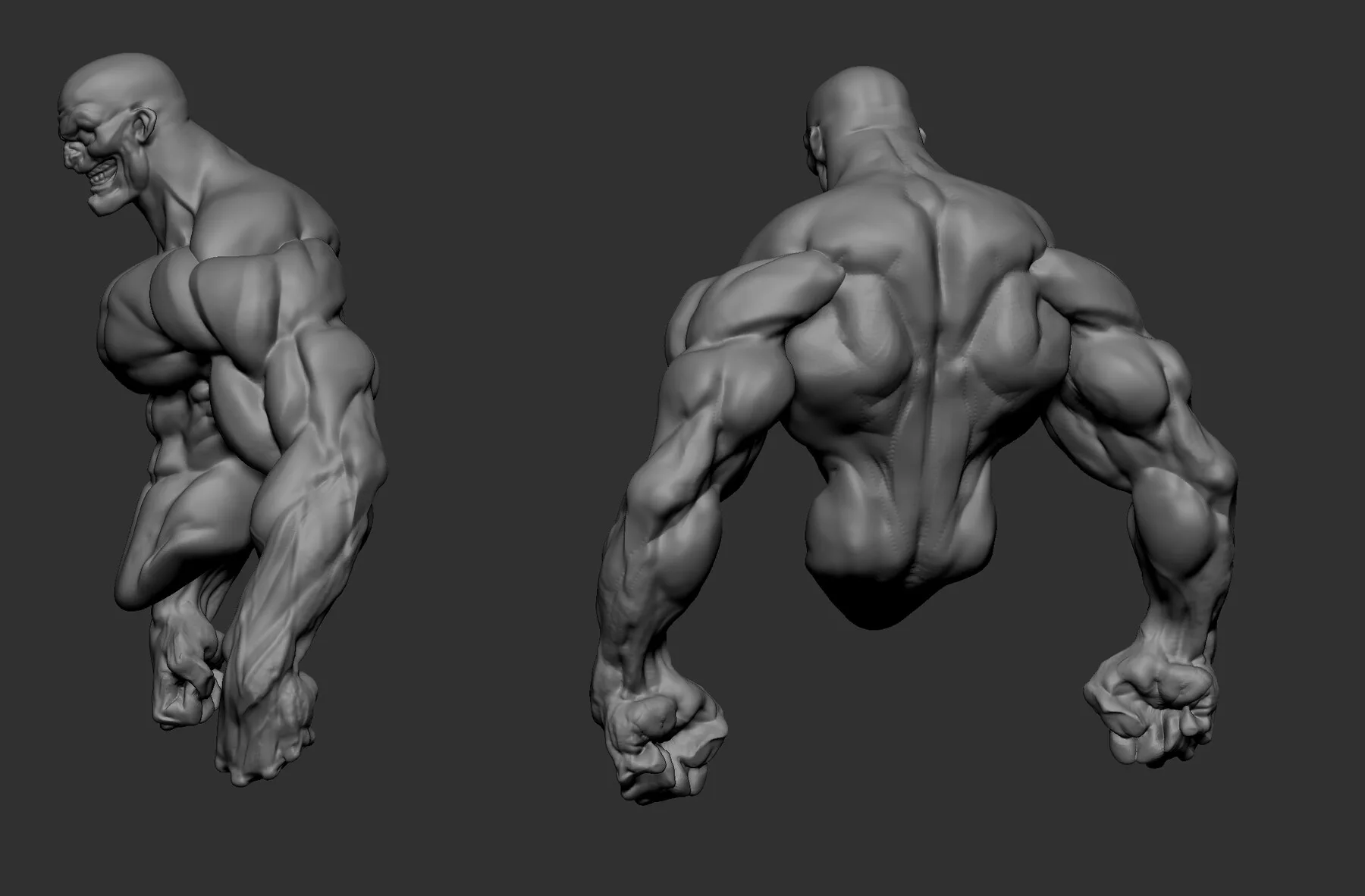 Base Torso