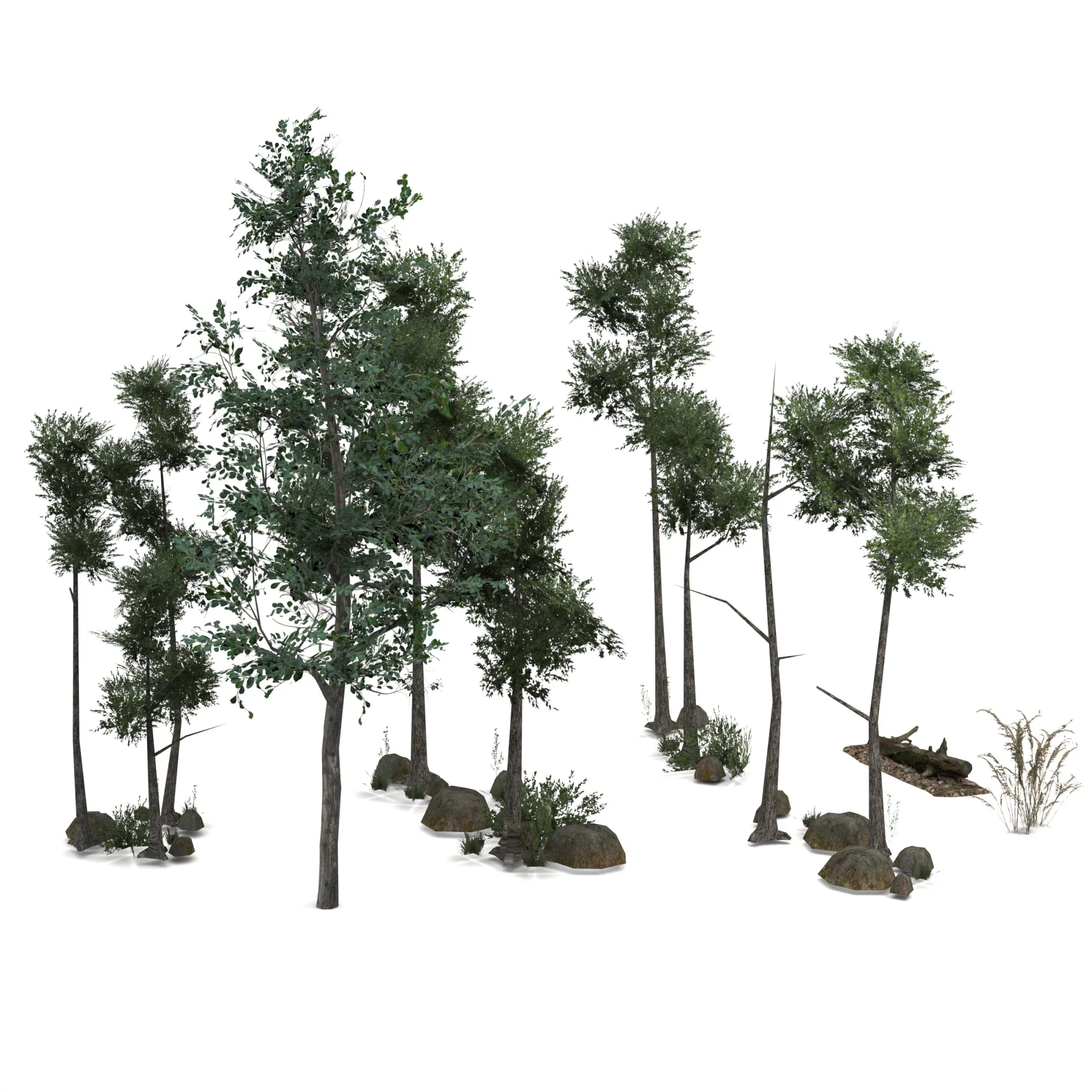 Low Poly Tree Bundle Game Ready