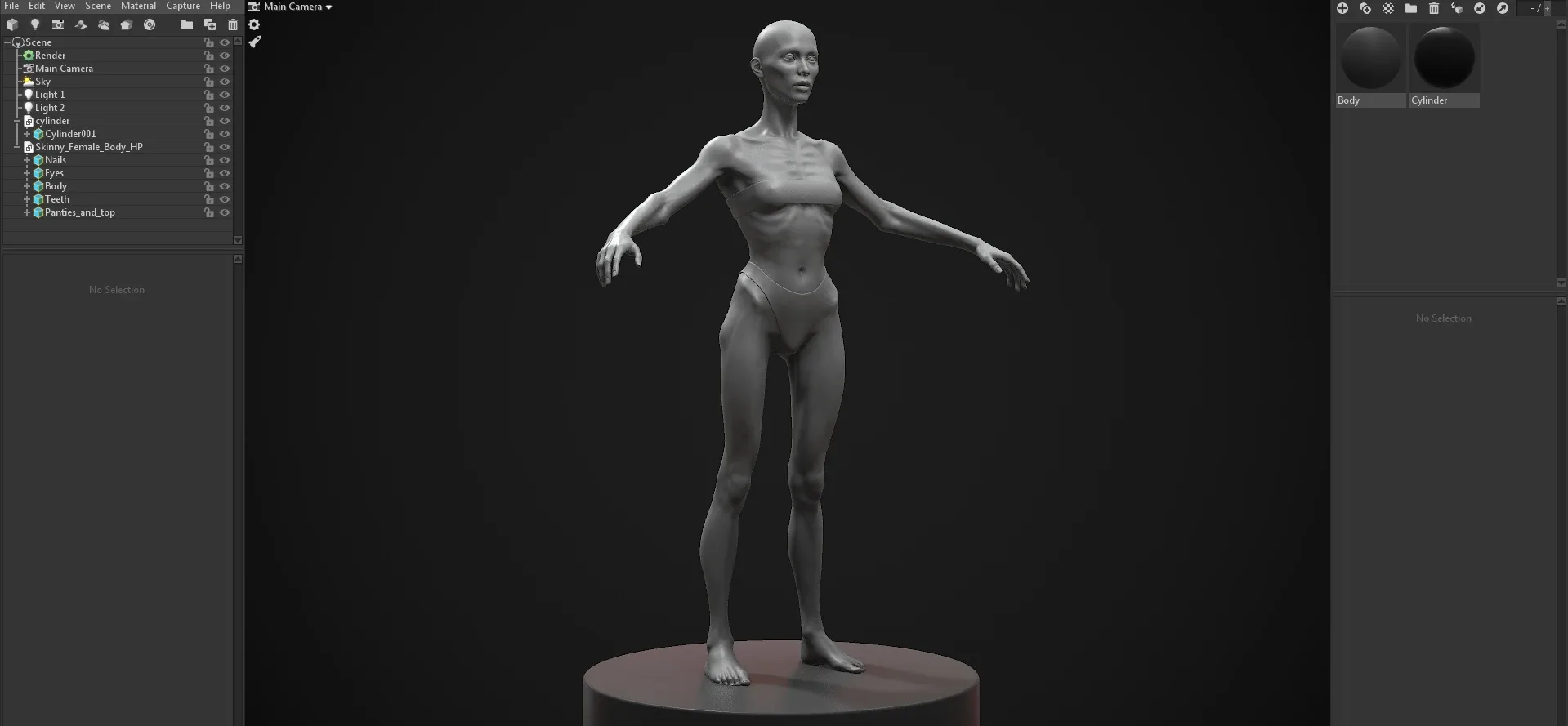 Skinny Woman Body Basemesh