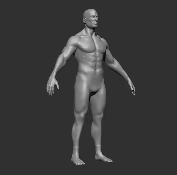 Human Anatomy Base Sculpture High Poly 3D Model