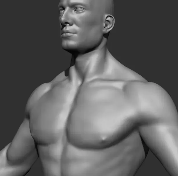 Human Anatomy Base Sculpture High Poly 3D Model