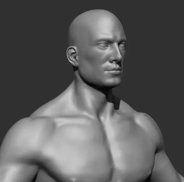 Human Anatomy Base Sculpture High Poly 3D Model