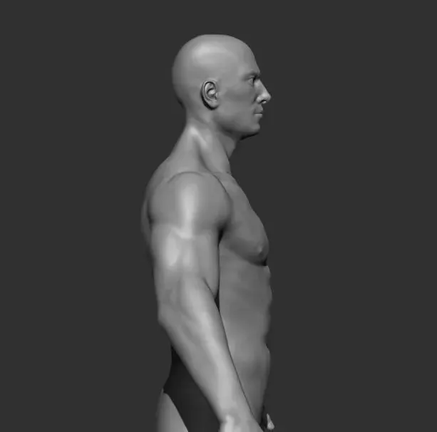 Human Anatomy Base Sculpture High Poly 3D Model