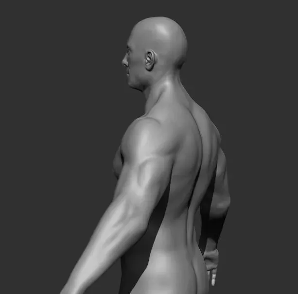 Human Anatomy Base Sculpture High Poly 3D Model