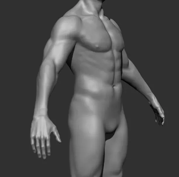 Human Anatomy Base Sculpture High Poly 3D Model