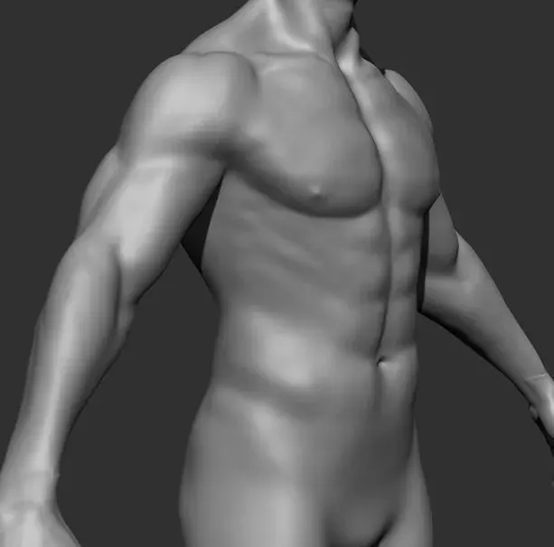 Human Anatomy Base Sculpture High Poly 3D Model