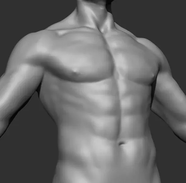 Human Anatomy Base Sculpture High Poly 3D Model