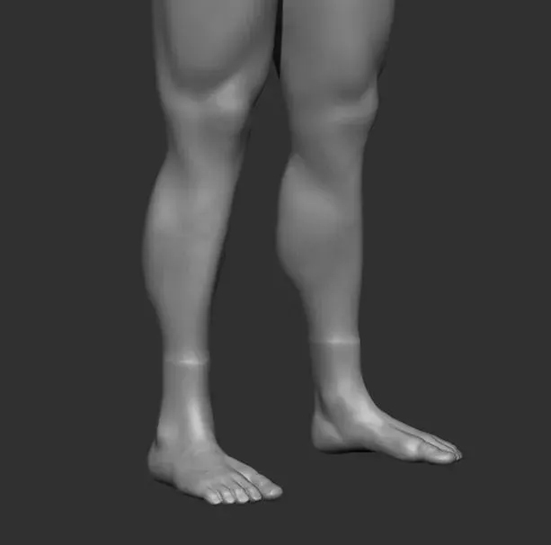 Human Anatomy Base Sculpture High Poly 3D Model