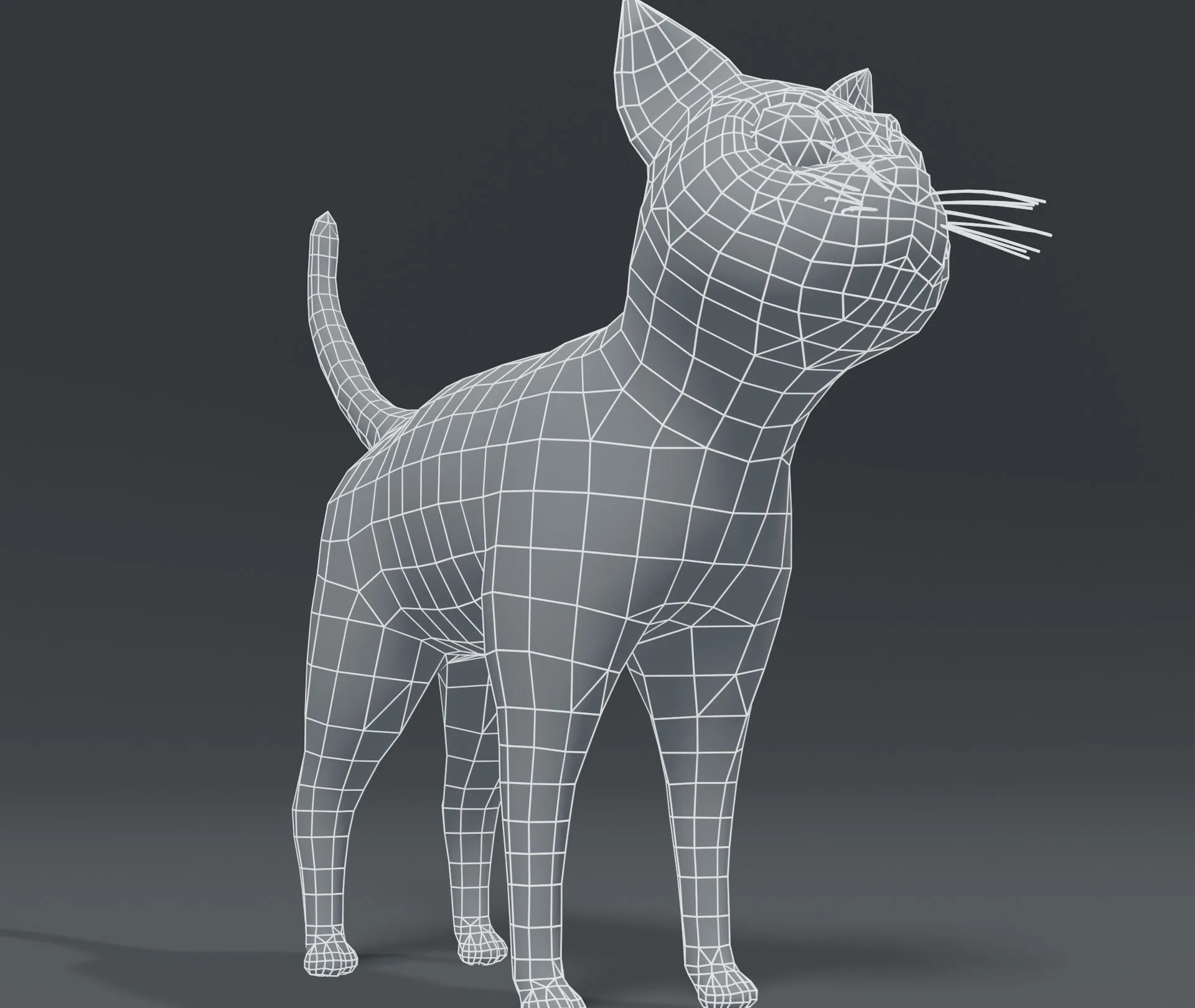 Cartoon Cat Base Mesh 3D Model