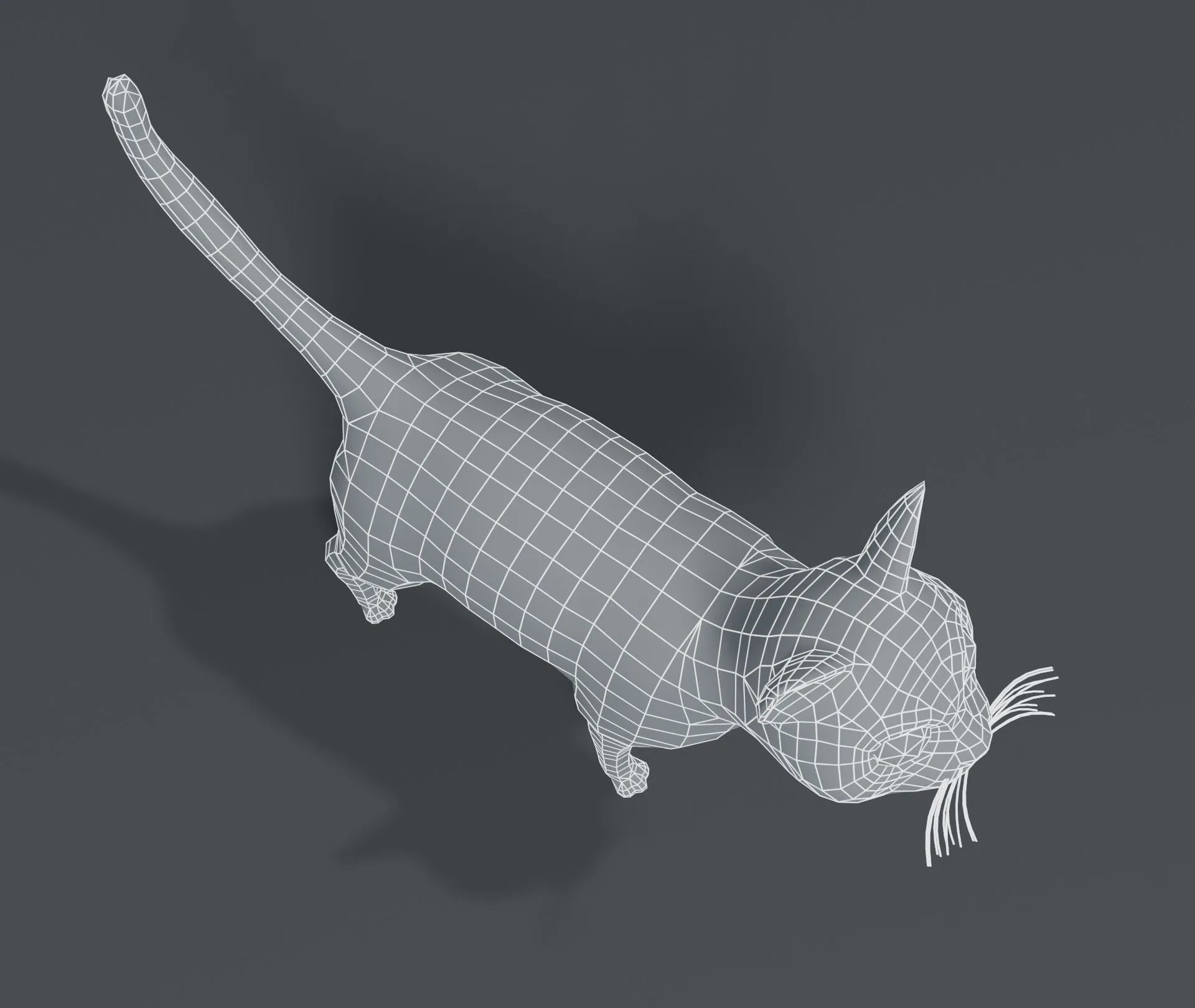 Cartoon Cat Base Mesh 3D Model