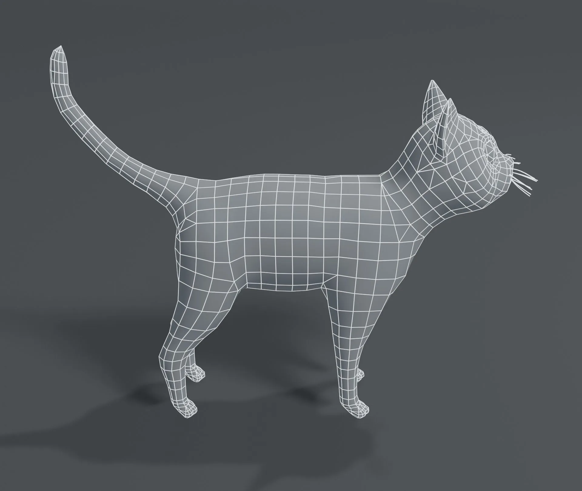 Cartoon Cat Base Mesh 3D Model