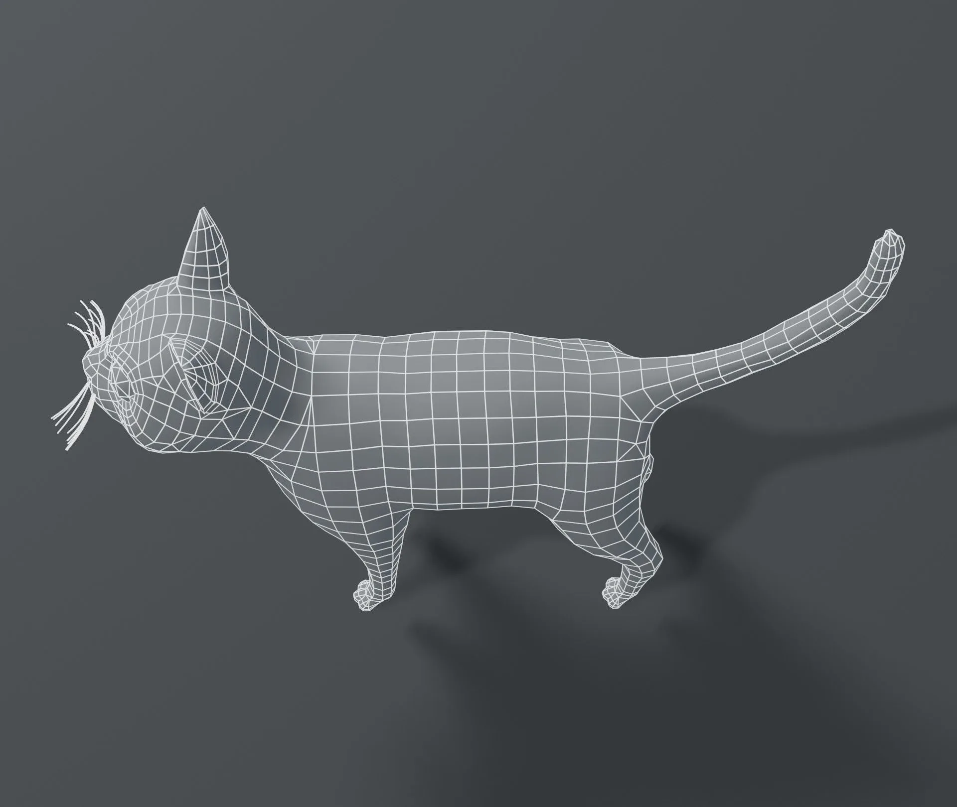 Cartoon Cat Base Mesh 3D Model