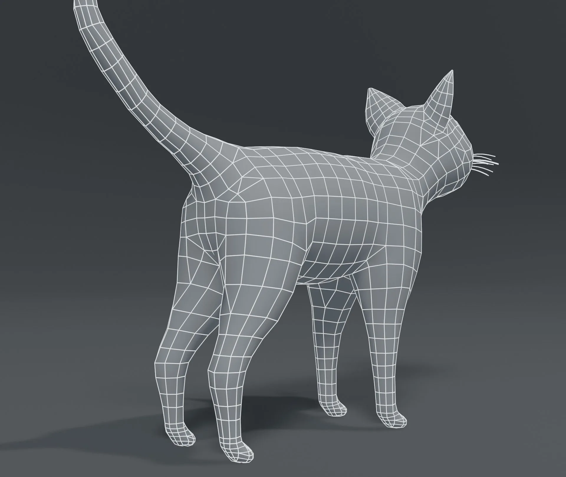 Cartoon Cat Base Mesh 3D Model