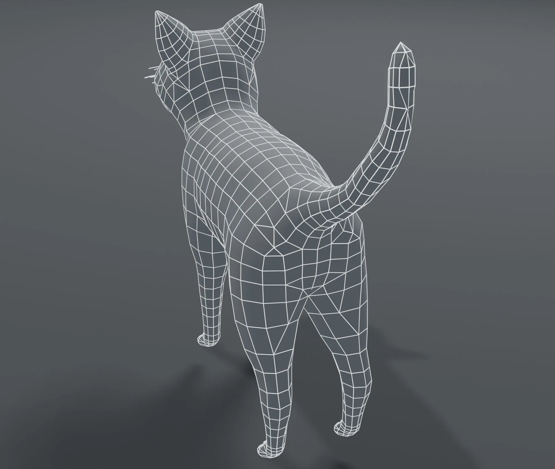 Cartoon Cat Base Mesh 3D Model