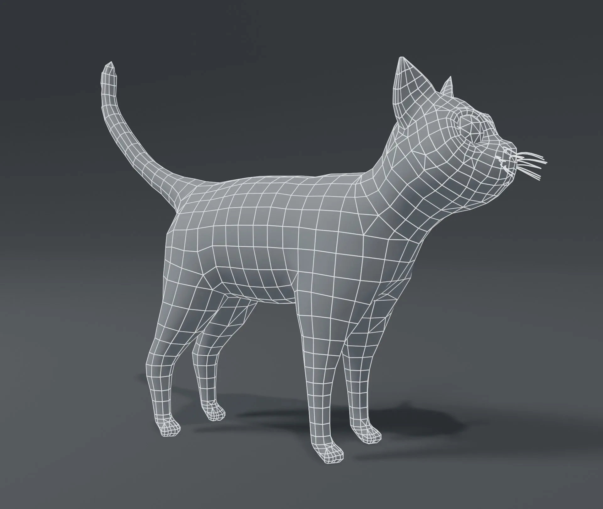 Cartoon Cat Base Mesh 3D Model