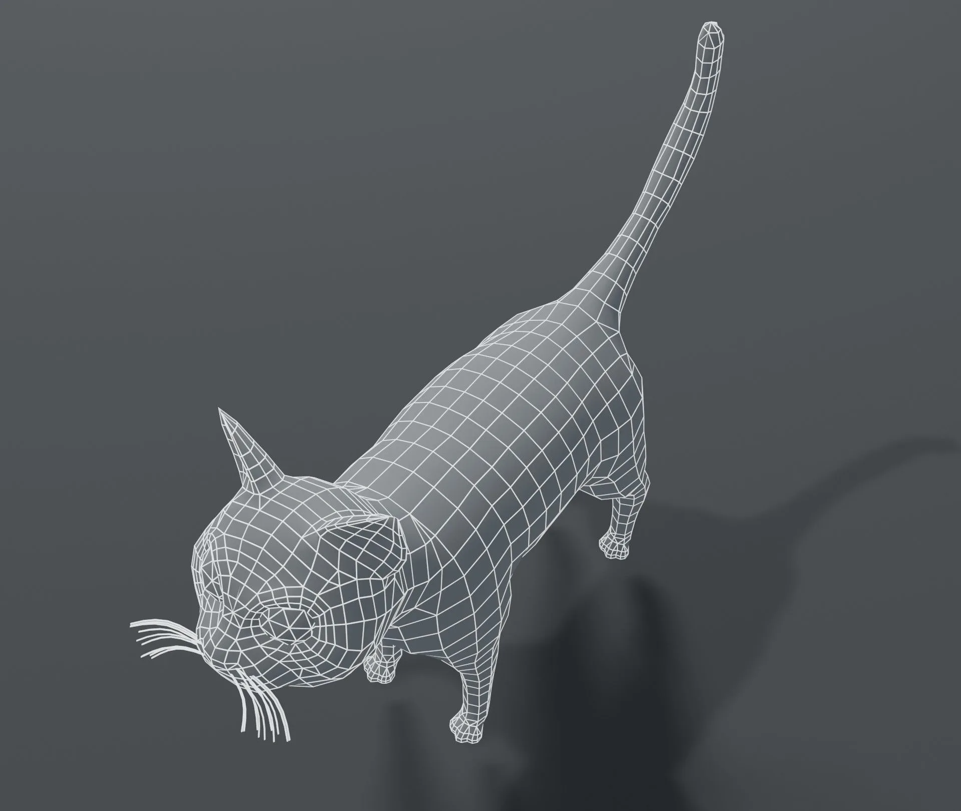 Cartoon Cat Base Mesh 3D Model