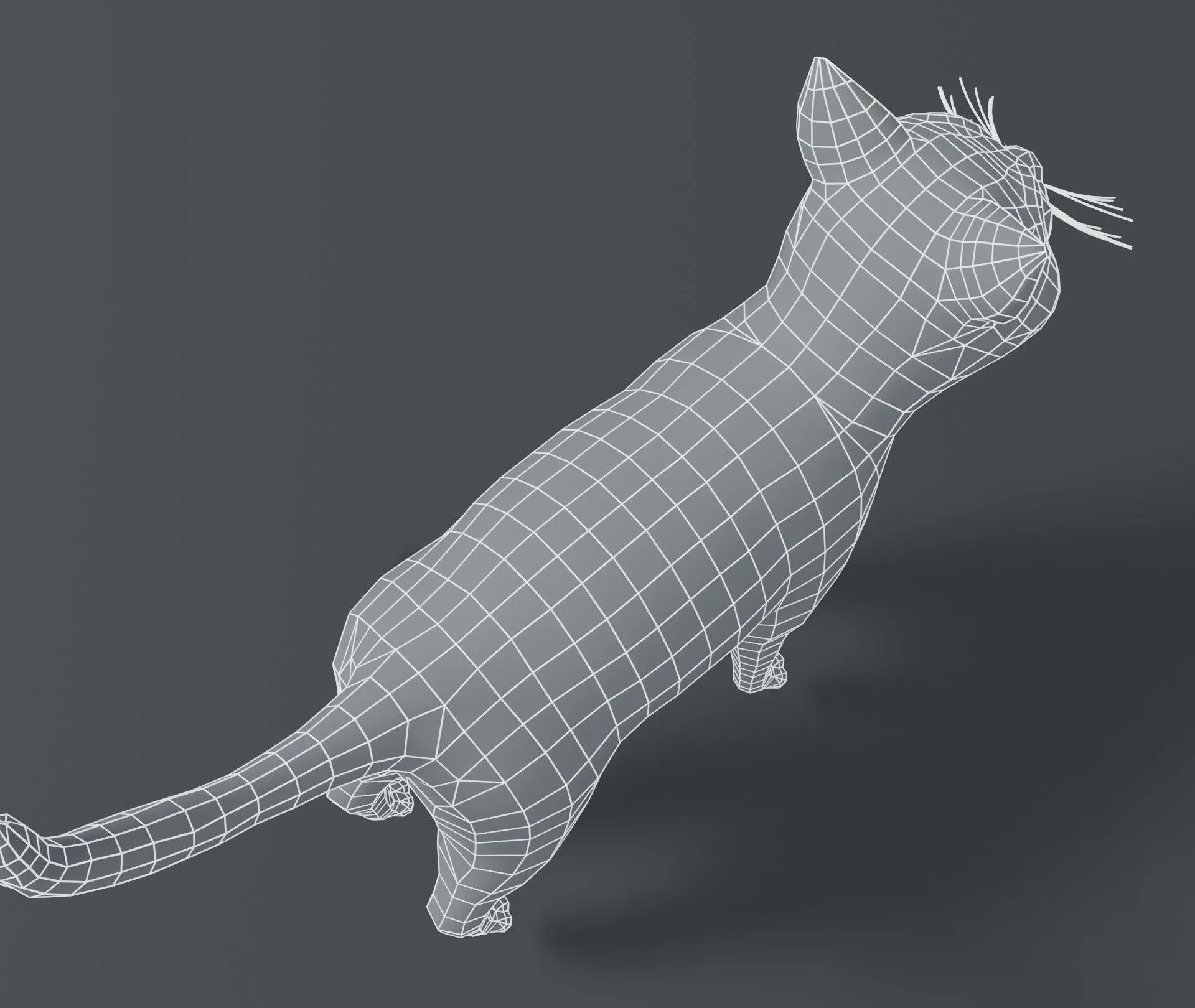 Cartoon Cat Base Mesh 3D Model