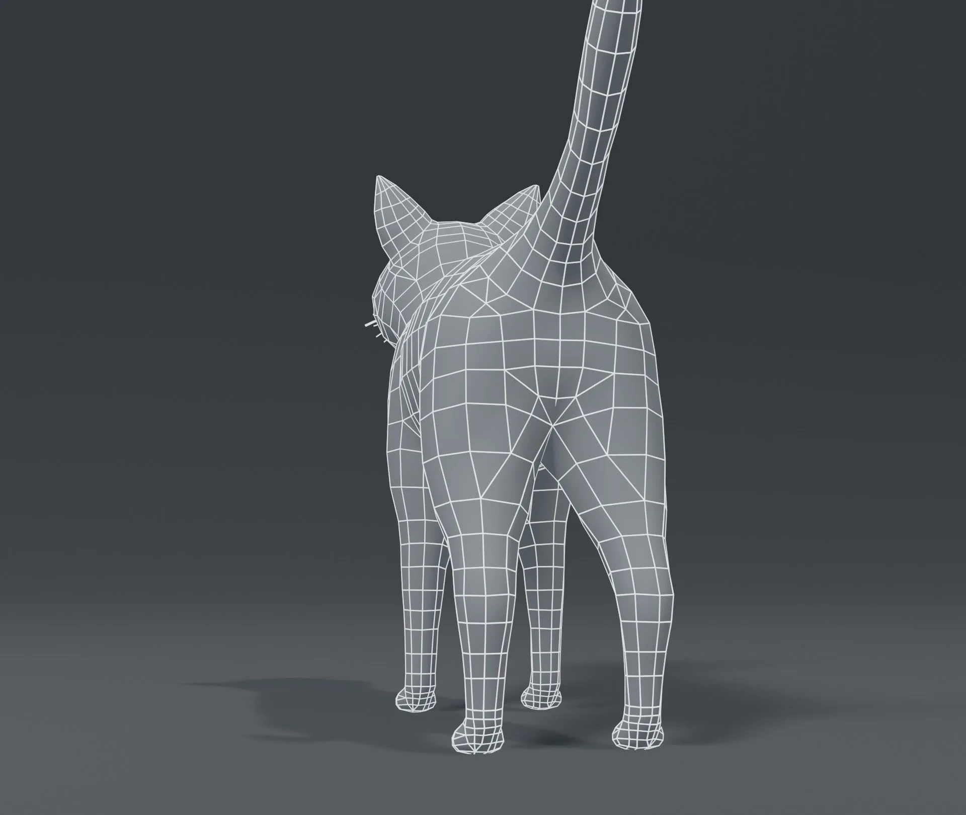 Cartoon Cat Base Mesh 3D Model