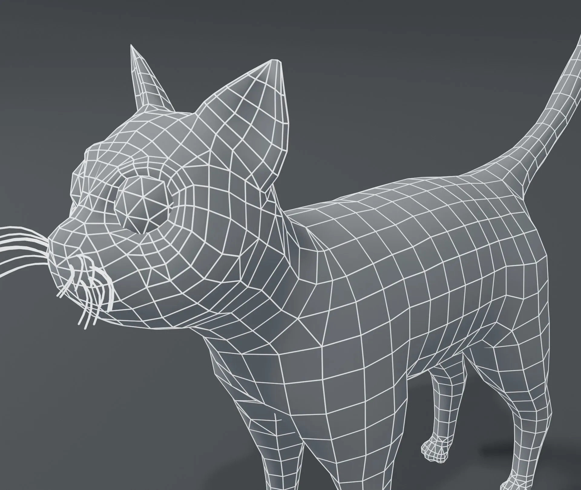 Cartoon Cat Base Mesh 3D Model