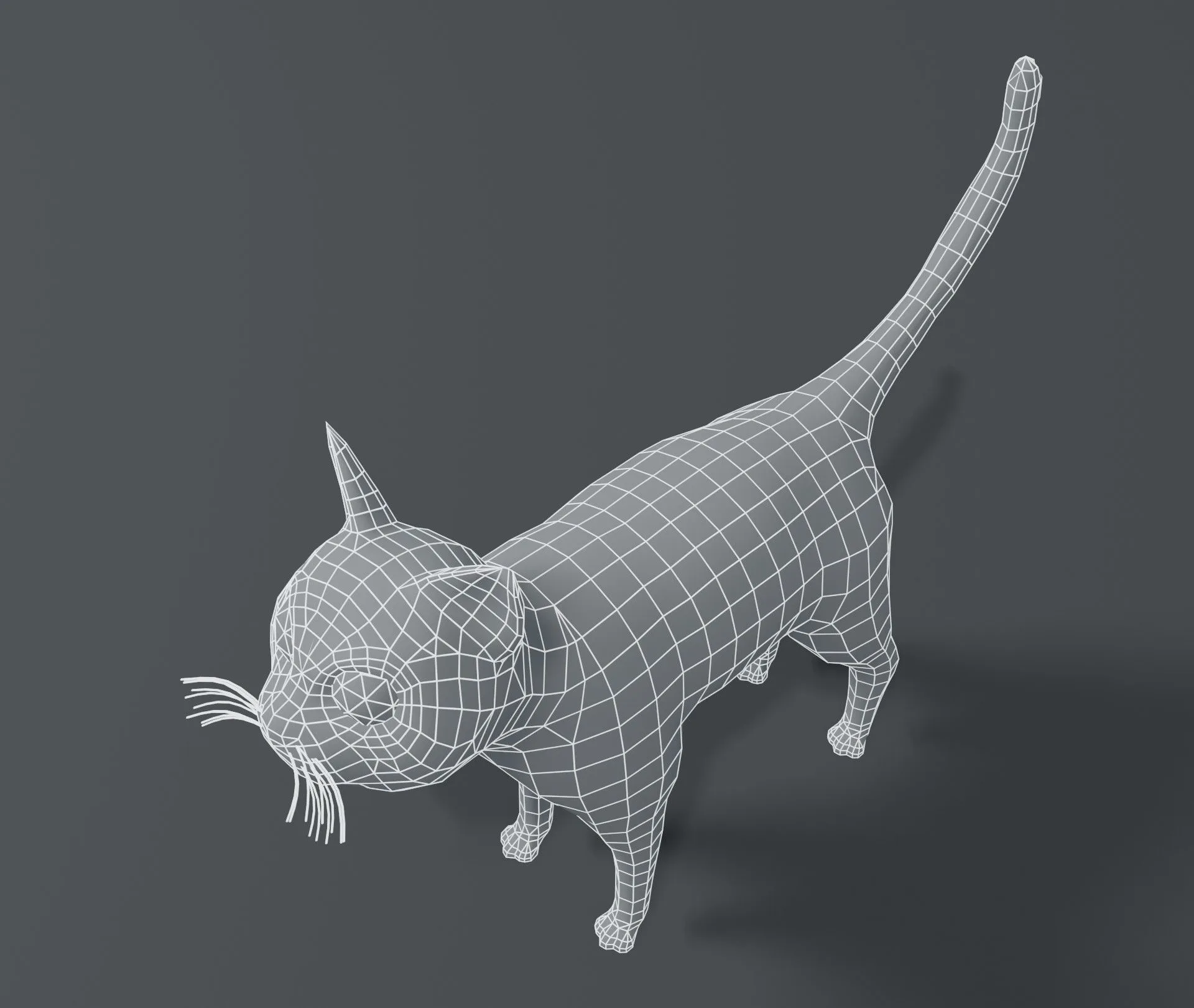 Cartoon Cat Base Mesh 3D Model