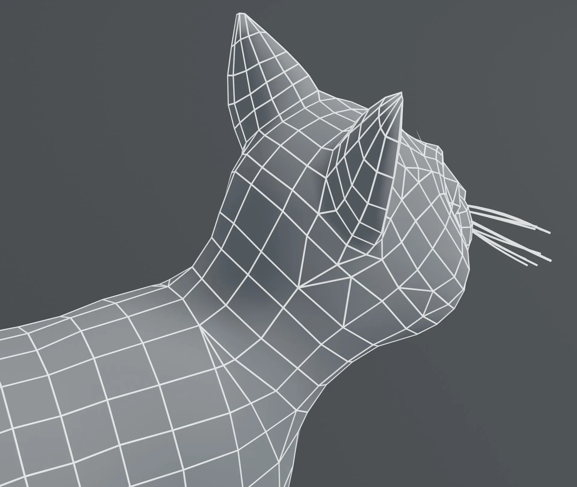 Cartoon Cat Base Mesh 3D Model