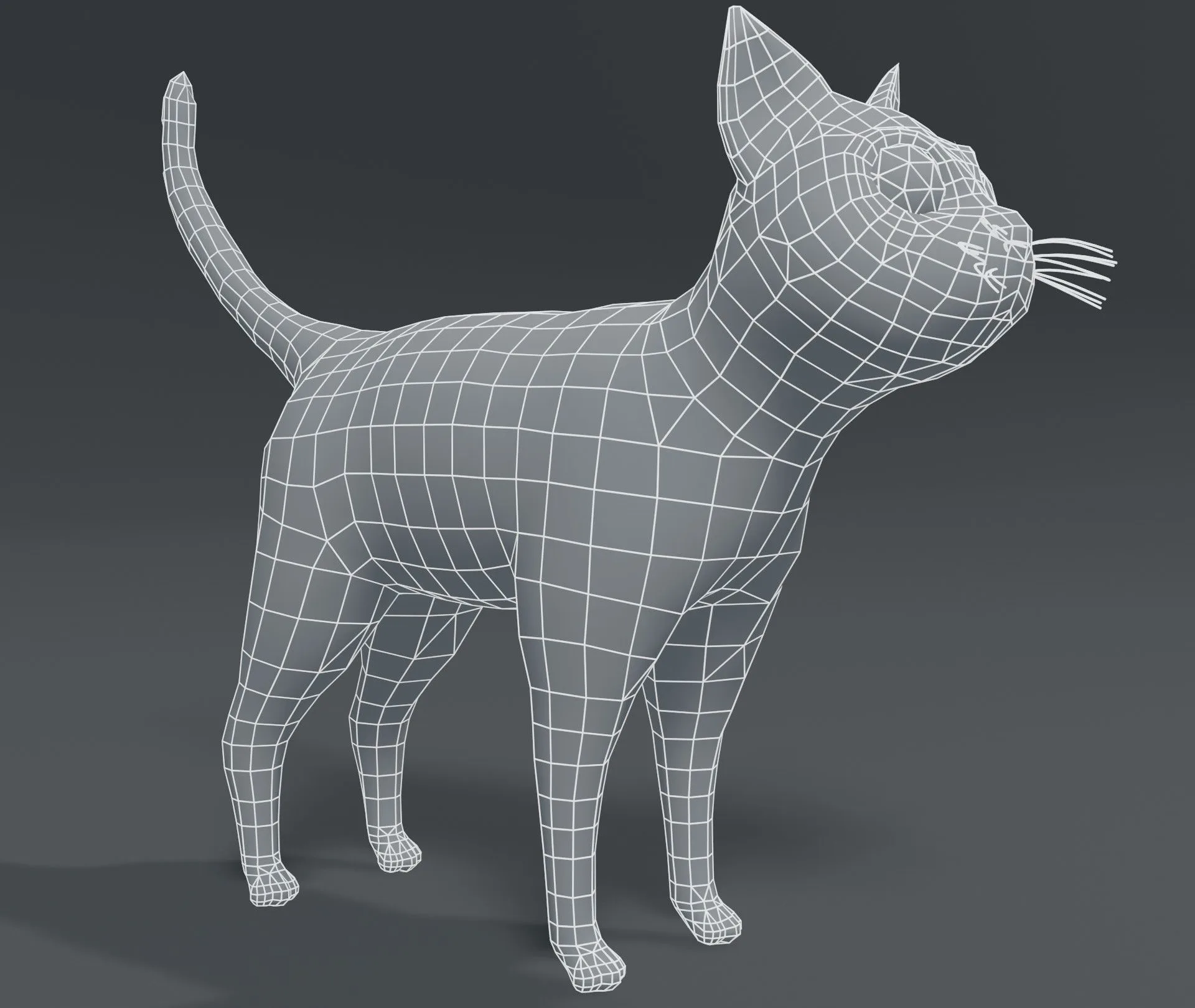 Cartoon Cat Base Mesh 3D Model