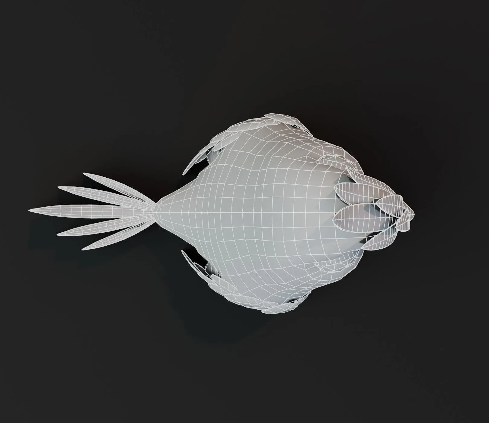 Cartoon Parrot Bird Base Mesh 3D Model