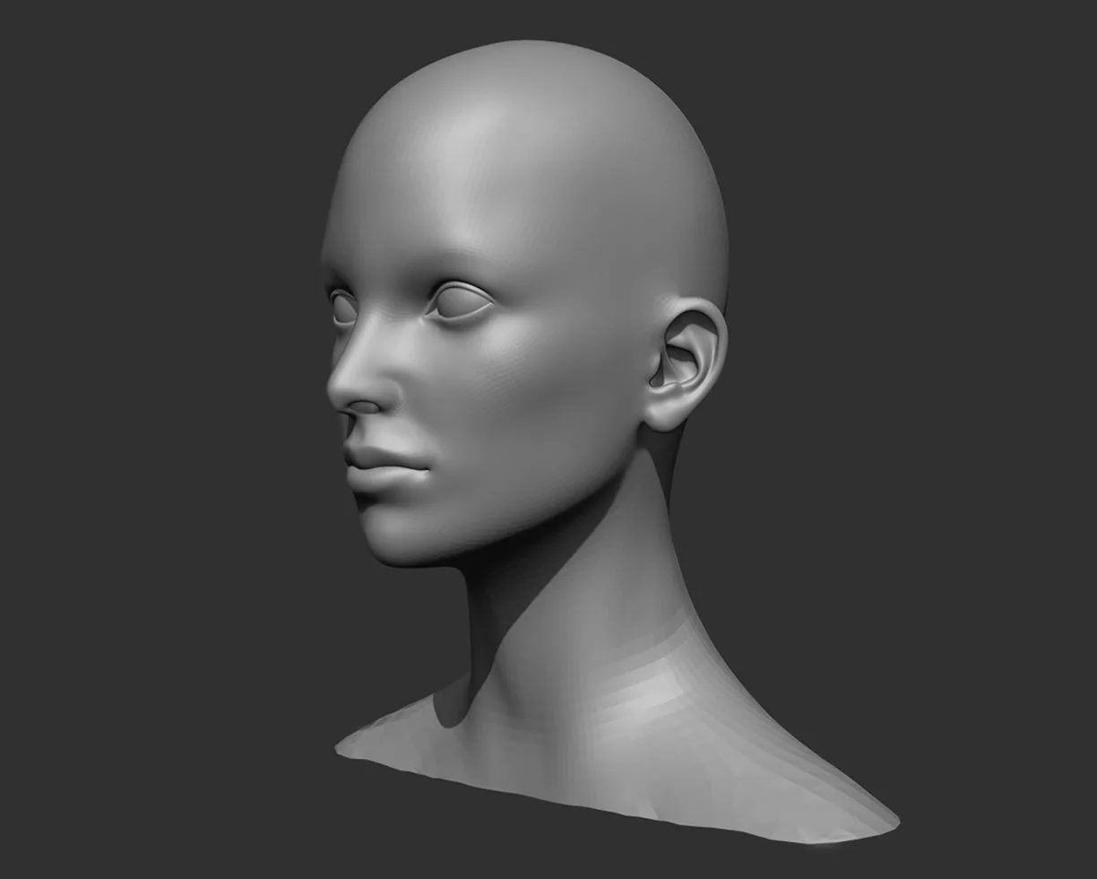 Female Head Realistic Base Mesh 3D Model