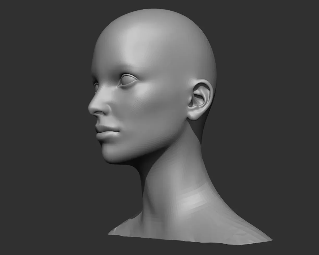 Female Head Realistic Base Mesh 3D Model