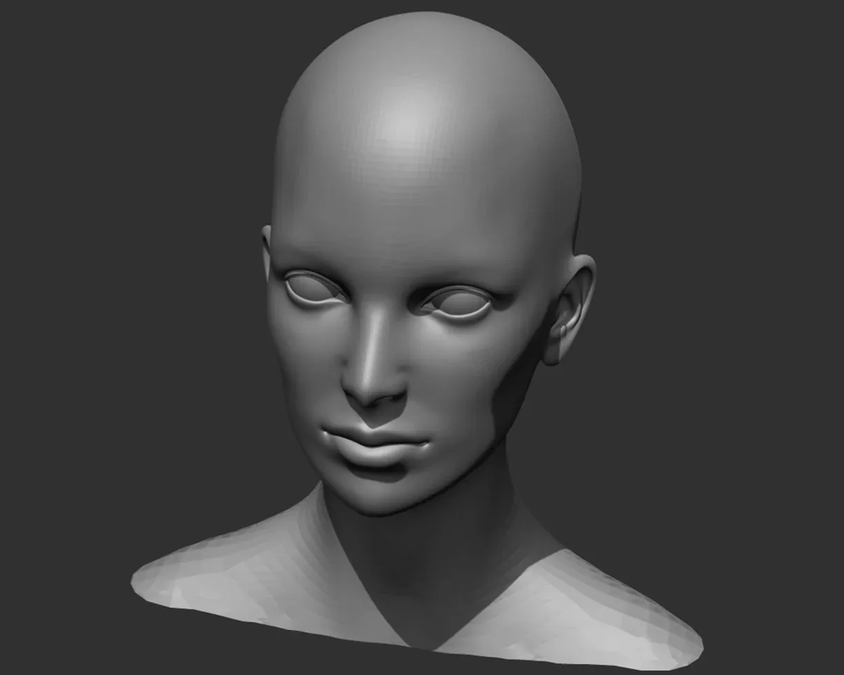Female Head Realistic Base Mesh 3D Model