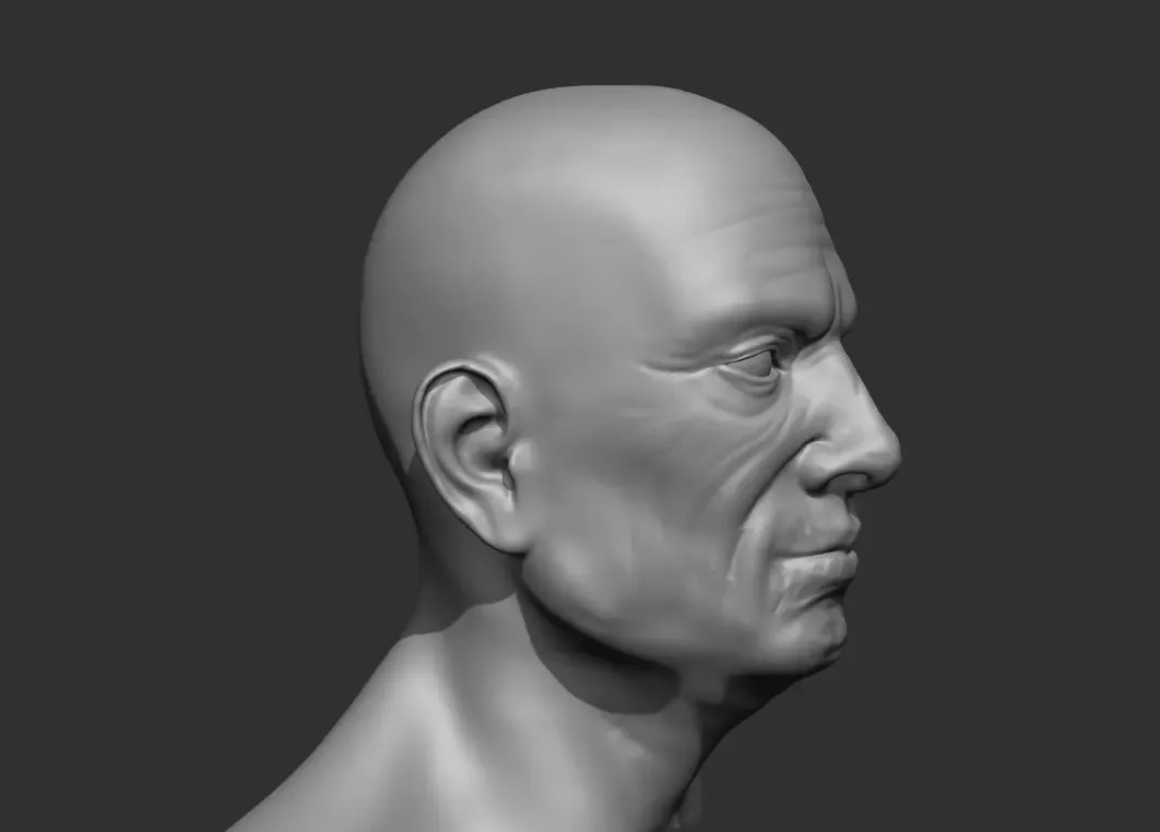 Old Male Head Realistic Base Mesh 3D Model