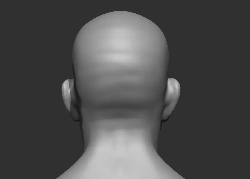 Old Male Head Realistic Base Mesh 3D Model