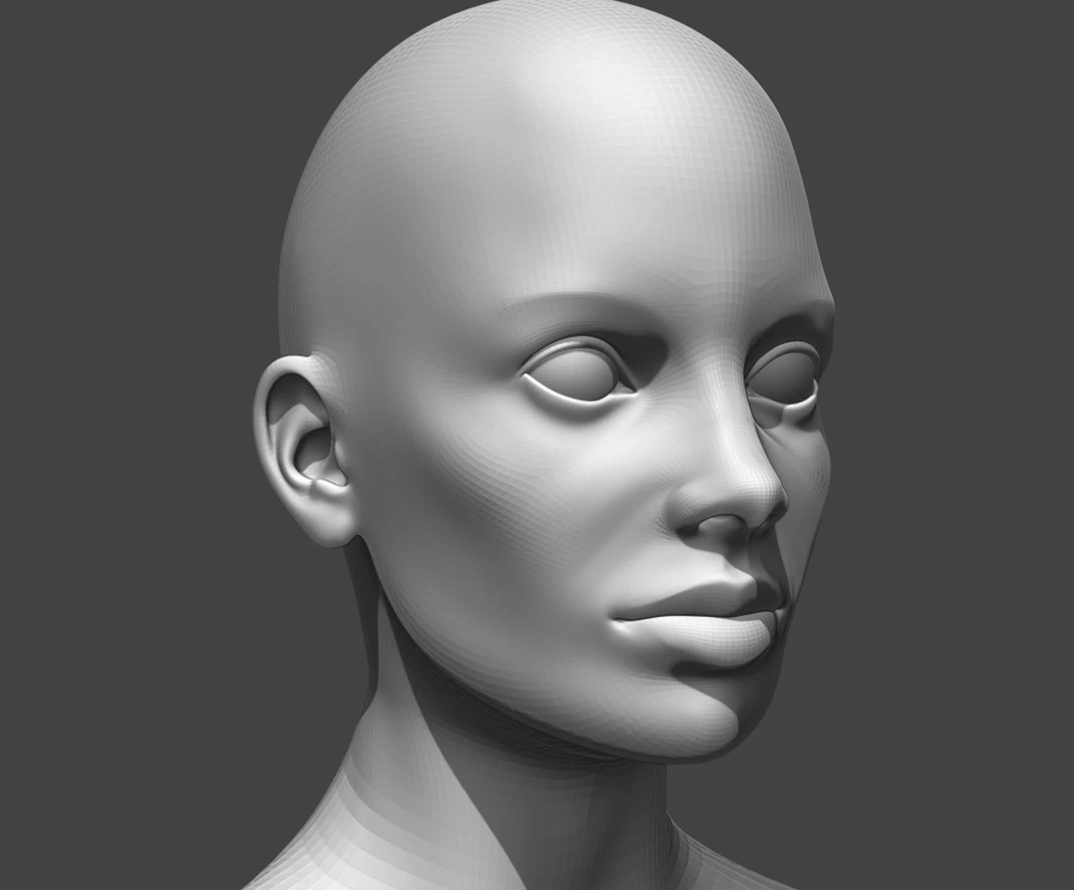 Female Head Realistic Base Mesh 2 3D Model