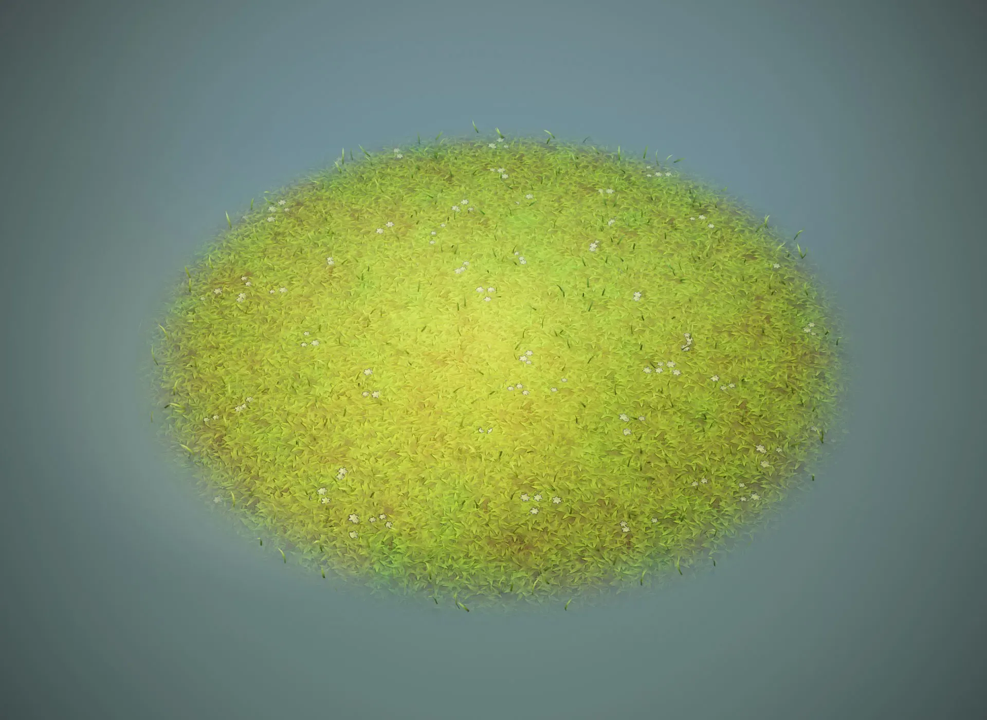 Cartoon Grass 3D Model