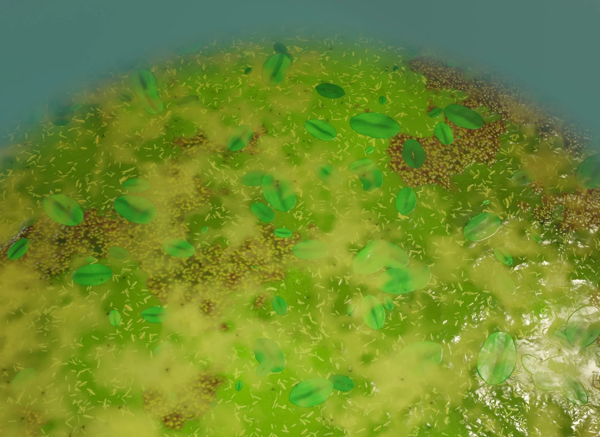 Cartoon Swamp 3D Model