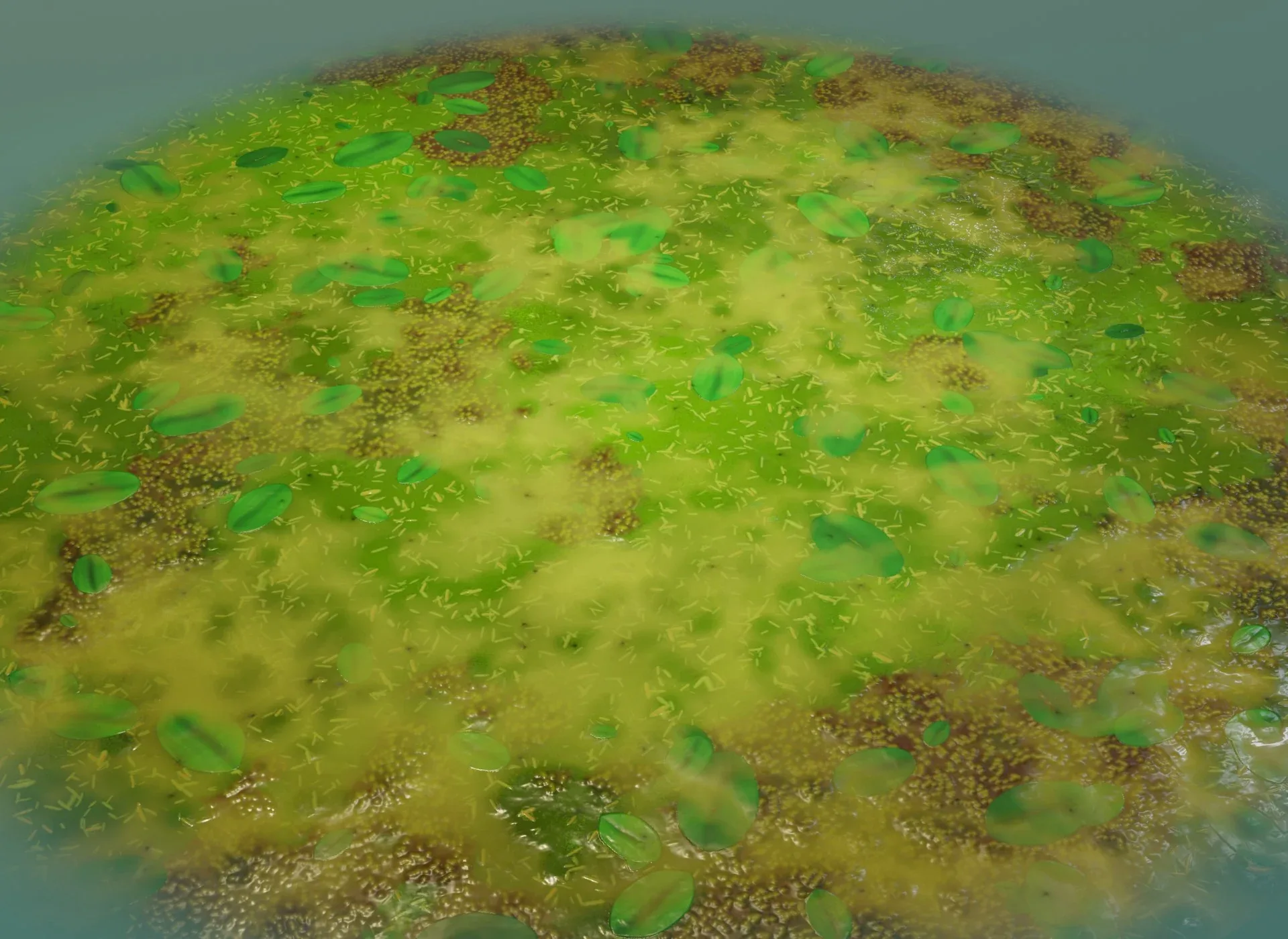 Cartoon Swamp 3D Model